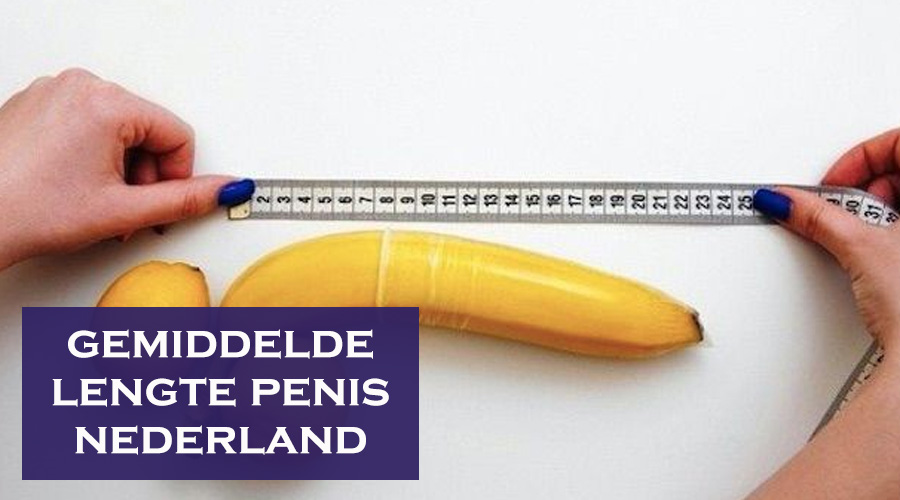 gemiddelde lengte penis nederland