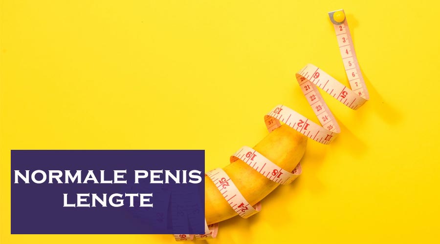 normale penis lengte