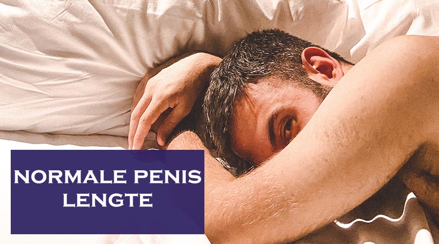 normale penis lengte